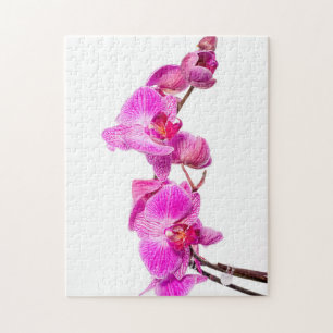 Orchid Jigsaw Puzzle