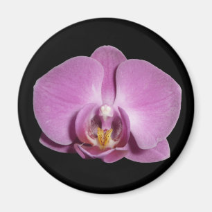 orchid magnet