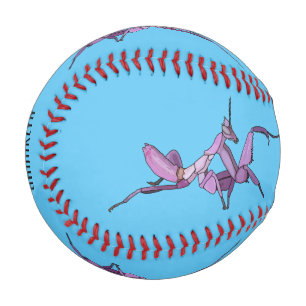 Orchid mantis cartoon illustration baseball