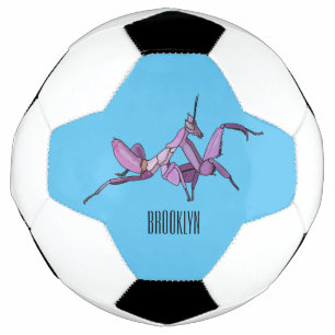 Orchid mantis cartoon illustration soccer ball