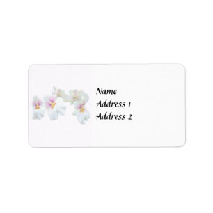 Orchid Miltoniopsis Florentine Wedding Products Label