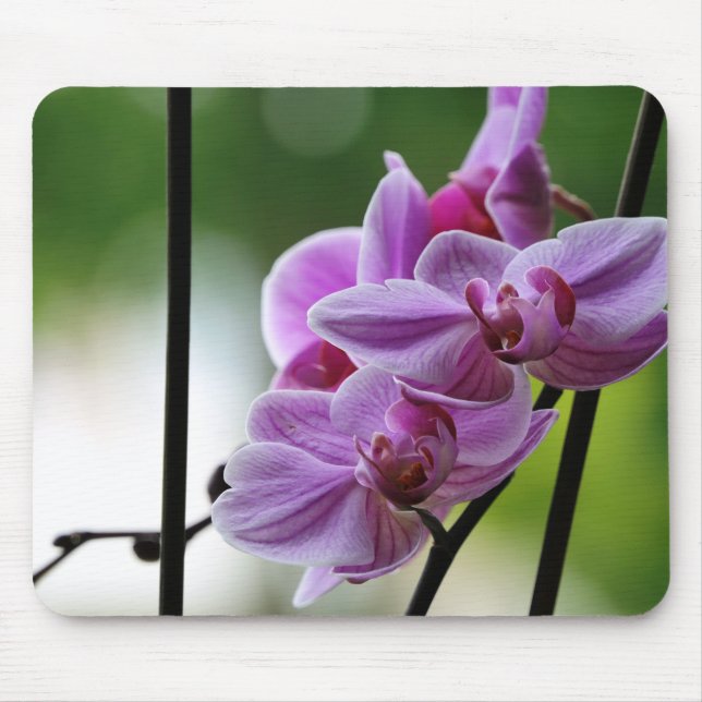 Orchid mouse pad (Front)