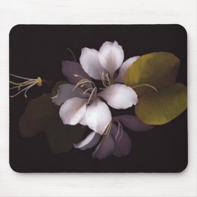 Orchid Mouse Pad (Front)