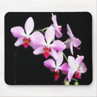Orchid Mouse Pad