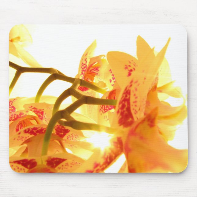 Orchid Mouse Pad (Front)