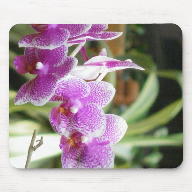 orchid mousepad (Front)