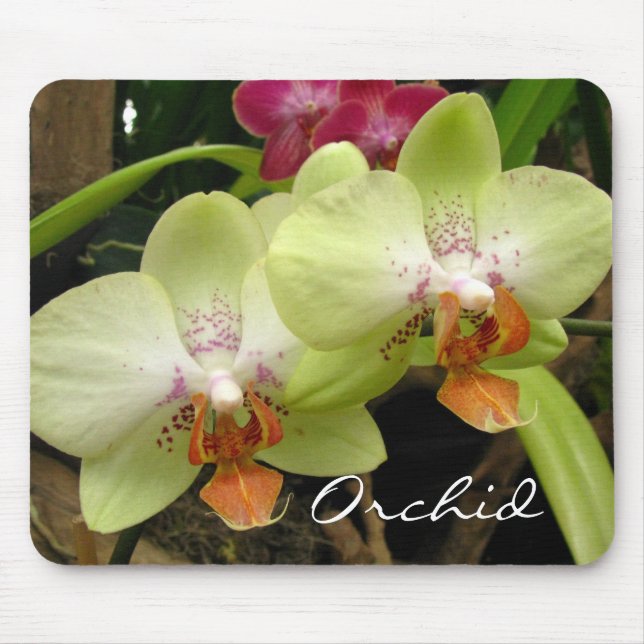 Orchid Mousepad (Front)