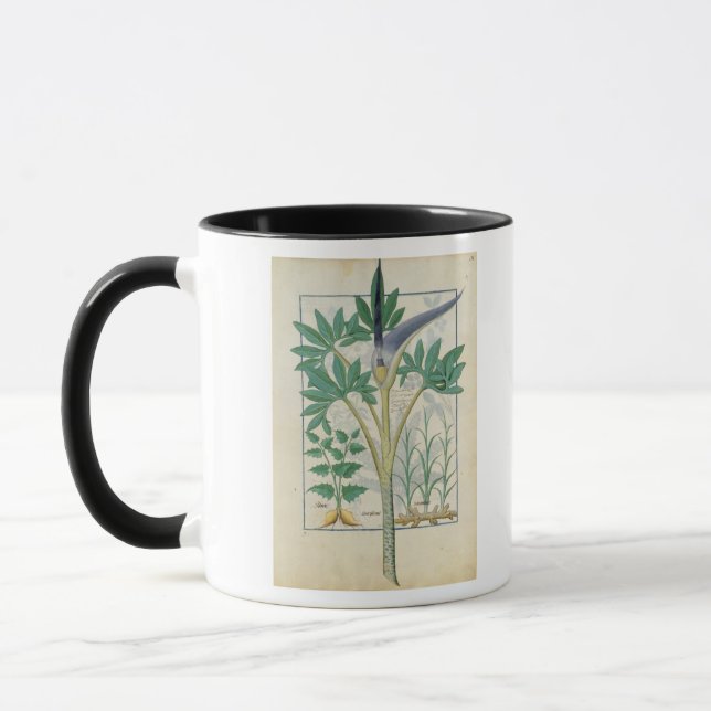 Orchid Mug (Left)