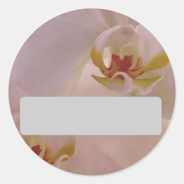 Orchid Name Sticker (Front)