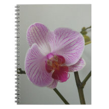 Orchid Notebook