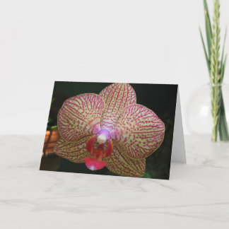 Orchid Notecard