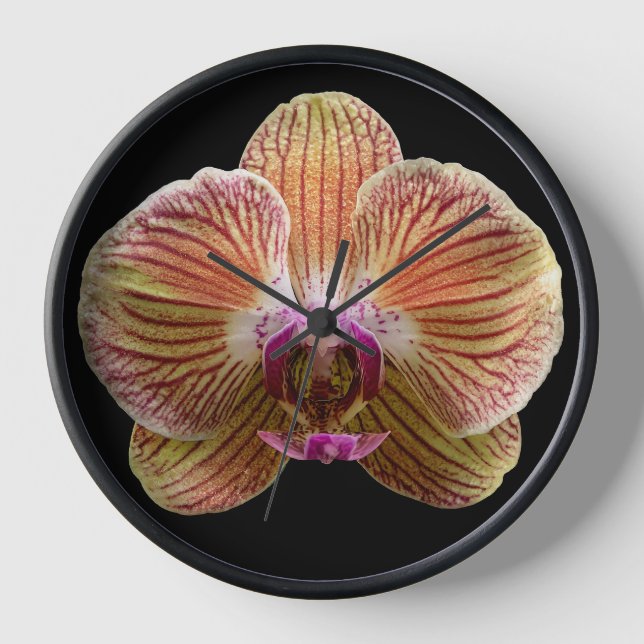 Orchid on Black Background Clock (Front)