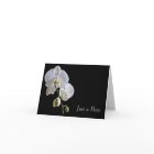 Orchid on Black Just a Note Card