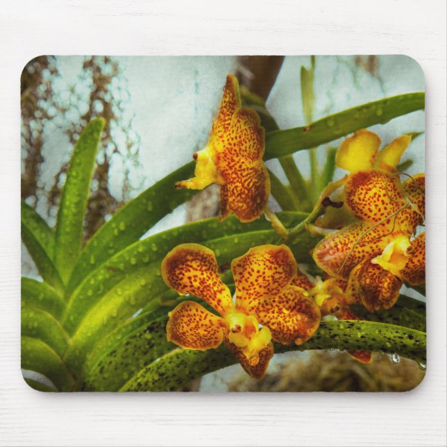 Orchid - Oncidium - Ripened Mouse Pad (Front)