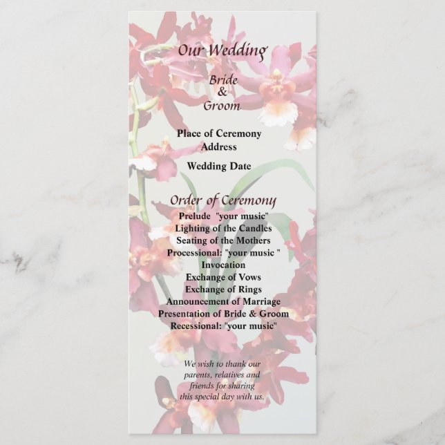 Orchid Oncostele Hilo Firecracker New Year Program (Front)