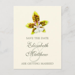 Orchid painted flower save the date card