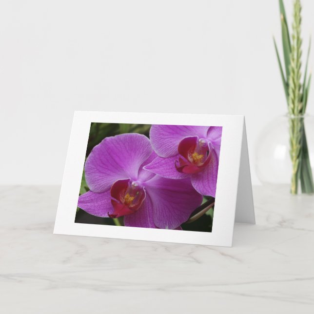 Orchid Perfection Card (Front)