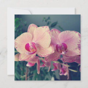 Orchid phalaenopsis ppolka dot pink flowers floral invitation