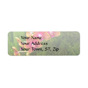 Orchid - Phalaenopsis - Tying Shin Cupid Return Address Label
