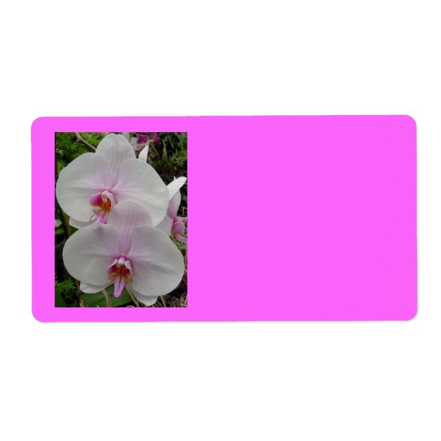Orchid - Pink Blossom (Colossians 2:3) (Front)