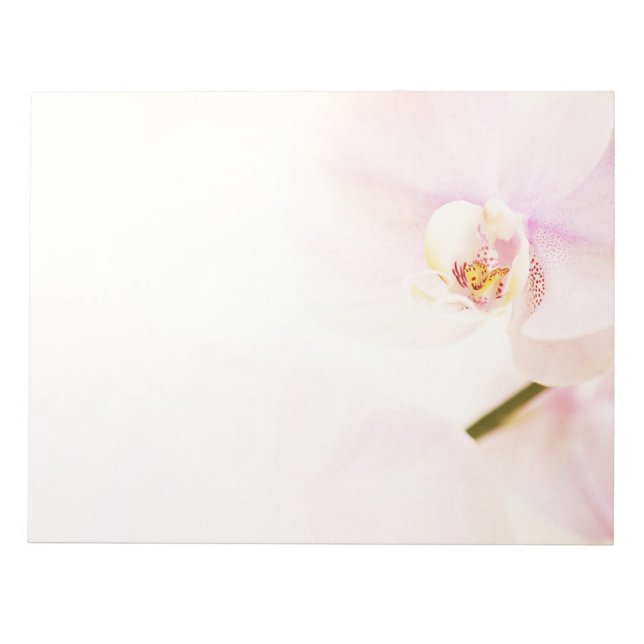 Orchid  - Pink High Key Flower - Floral Template Notepad (Front)