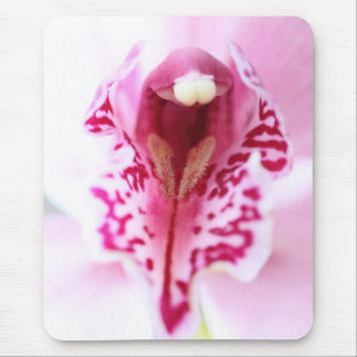 orchid - pink mouse pad