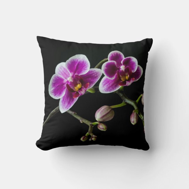 Orchid pink white colour on black pale gentle  cushion (Front)