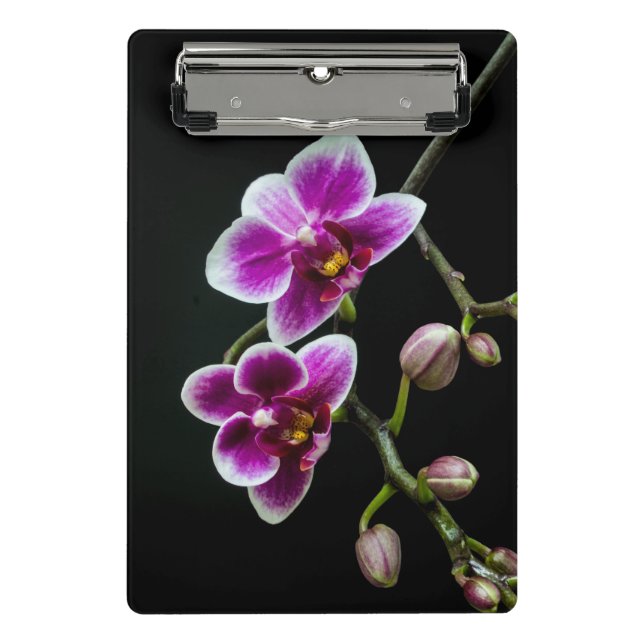 Orchid pink white colour on black pale gentle  mini clipboard (Front)