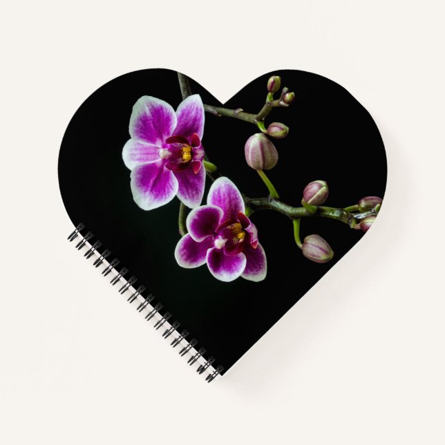 Orchid pink white colour on black pale gentle  notebook (Front)