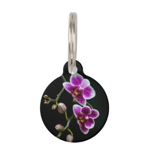 Orchid pink white colour on black pale gentle  pet tag