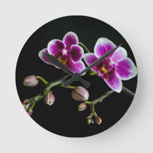 Orchid pink white colour on black pale gentle round clock