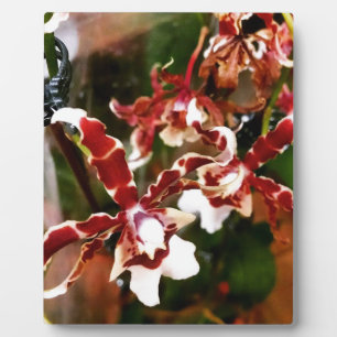 Orchid Plaque