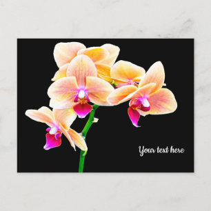 Orchid Postcard