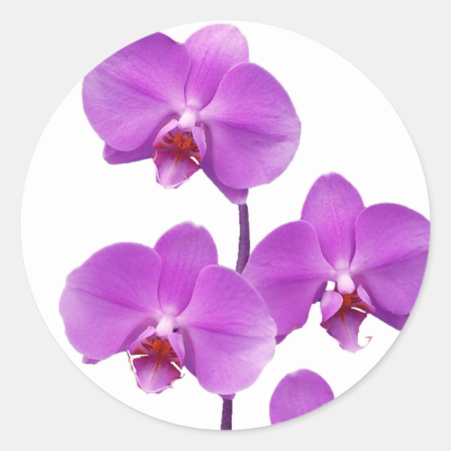 Orchid Purple rev2 600 Classic Round Sticker (Front)