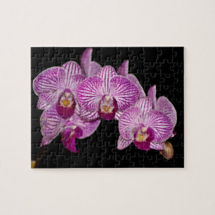 Orchid Puzzle