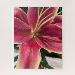 Orchid Puzzle