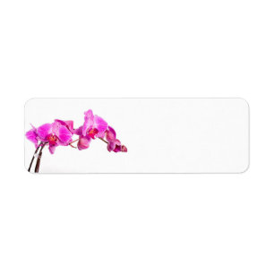 Orchid Return Address Label