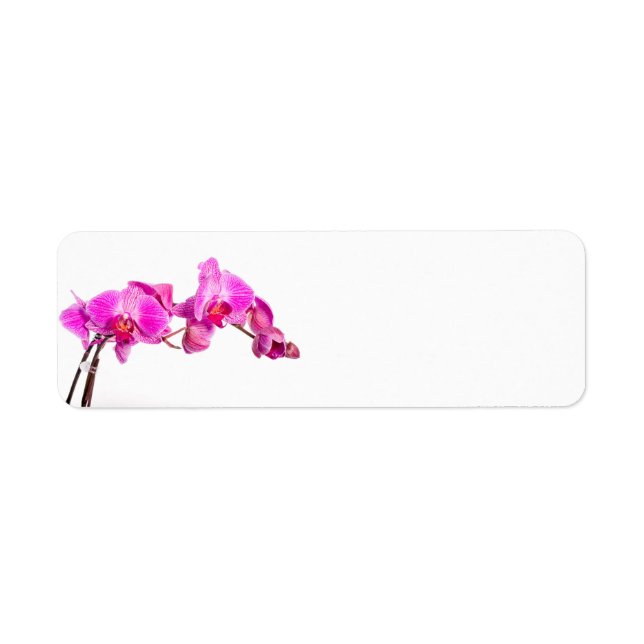 Orchid Return Address Label (Front)