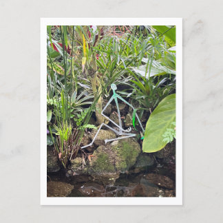 Orchid Room Stick Figures 1 | Phipps Conservatory Postcard