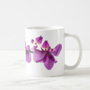 Orchid Row on White 11 oz Classic White Mug