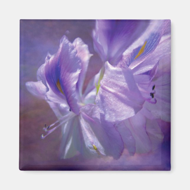 Orchid Sky Art Magnet (Front)