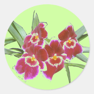 Orchid Spray Sticker Seal