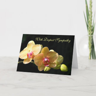 Orchid Sympathy Greeting Card