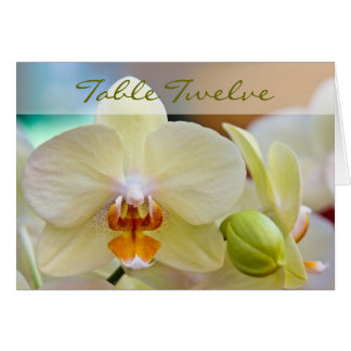 Orchid • Table Card