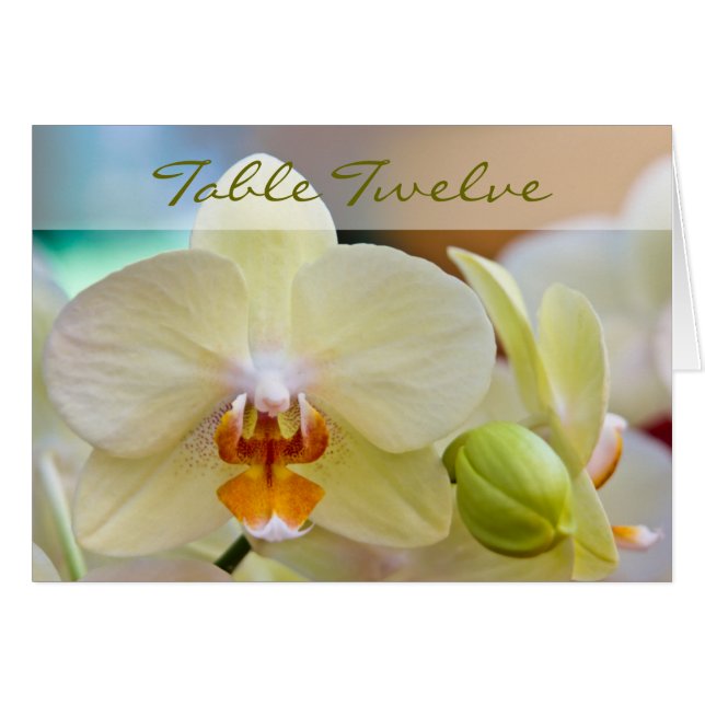 Orchid • Table Card (Front Horizontal)
