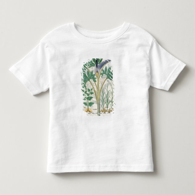 Orchid Toddler T-Shirt (Front)