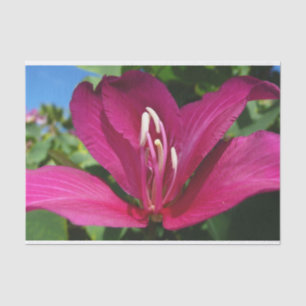 Orchid Tree Blossom Tropical Floral Tissue Paper