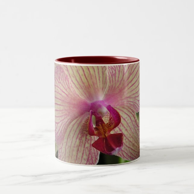 Orchid Two-Tone Coffee Mug (Center)