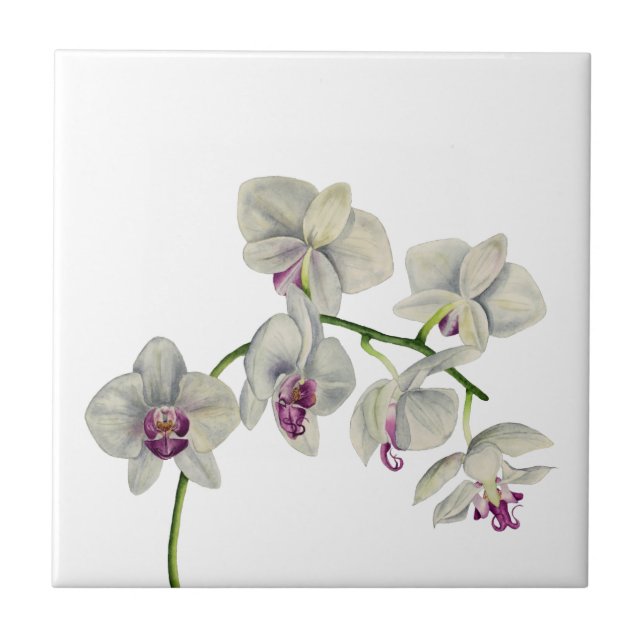 Orchid Watercolor Painting Tile (Front)
