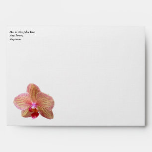 Orchid White Envelope